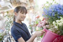 商品イメージ